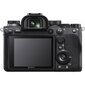 Täiskaader hübriidkaamera Sony A9 II body (Black)(ILCE-9M2) hind ja info | Fotoaparaadid | hansapost.ee