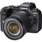 Canon EOS R6 + RF 24-105mm F4-7.1 IS STM + Mount Adapter EF-EOS R hind ja info | Fotoaparaadid | hansapost.ee