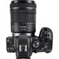Canon EOS R6 + RF 24-105mm F4-7.1 IS STM + Mount Adapter EF-EOS R hind ja info | Fotoaparaadid | hansapost.ee