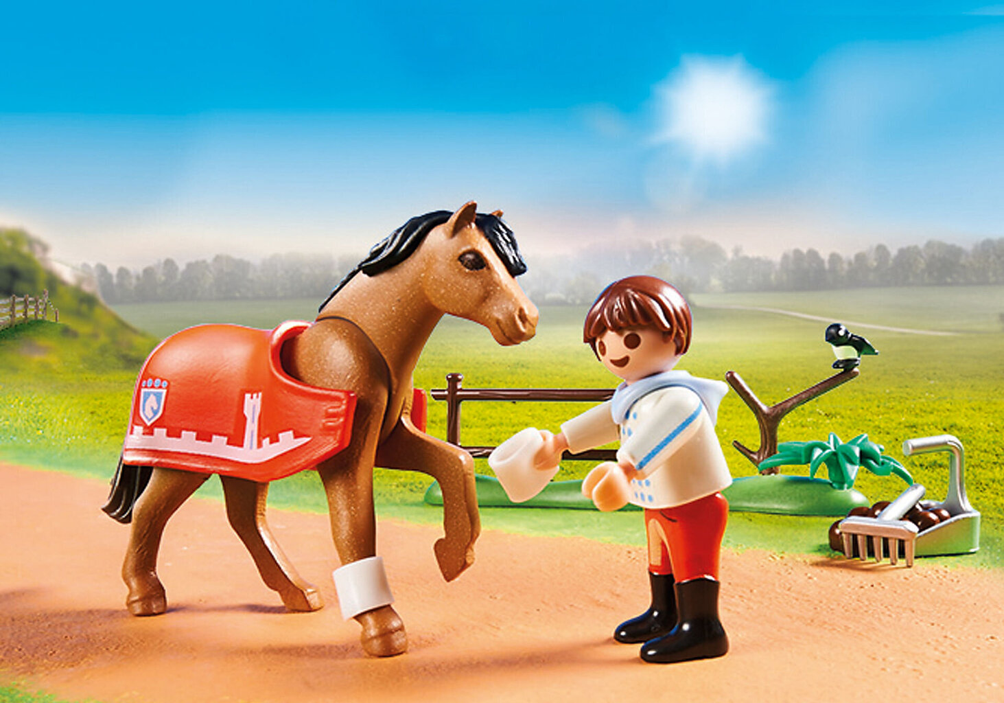 Конструктор 70516 Playmobil, пони Коннемара цена | hansapost.ee