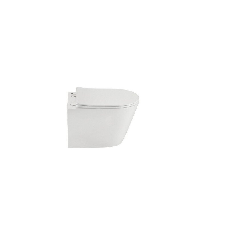 Seinale kinnitatav WC-pott TEKA NEXOS hind ja info | WС-potid | hansapost.ee