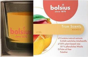 Bolsius lõhnaküünal True Scents, 5x8 cm, mango hind ja info | Küünlad, küünlajalad | hansapost.ee