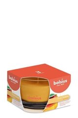 Ароматическая свеча Bolsius True Scents, 6,3x9 см, манго цена и информация | Свечи, подсвечники | hansapost.ee