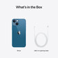 Apple iPhone 13 mini 512GB Blue MLKF3ET/A hind ja info | Telefonid | hansapost.ee