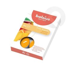 Bolsius teeküünlad True Scents, 6 tk., mango hind ja info | Küünlad, küünlajalad | hansapost.ee
