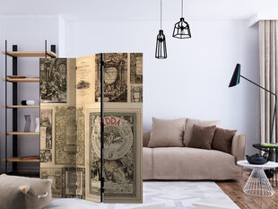 Ruumijaotur - Vintage Books [Room Dividers] hind ja info | Sirmid ja vaheseinad | hansapost.ee