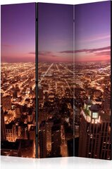 Ruumijaotur - Chicago Panorama [Room Dividers] hind ja info | Sirmid ja vaheseinad | hansapost.ee