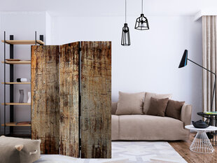 Ruumijaotur - Tree Bark [Room Dividers] hind ja info | Sirmid ja vaheseinad | hansapost.ee