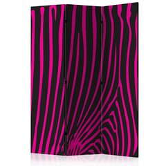 Ruumijaotur - Zebra pattern (violet) [Room Dividers] hind ja info | Sirmid ja vaheseinad | hansapost.ee