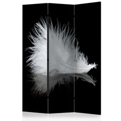Ruumijaotur - White feather [Room Dividers] hind ja info | Sirmid ja vaheseinad | hansapost.ee