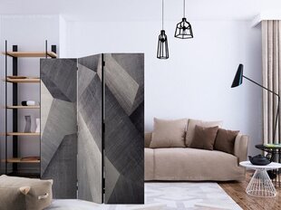 Ruumijaotur - Abstract concrete blocks [Room Dividers] hind ja info | Sirmid ja vaheseinad | hansapost.ee