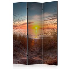 Ruumijaotur - Sunset over the Atlantic Ocean [Room Dividers] hind ja info | Sirmid ja vaheseinad | hansapost.ee