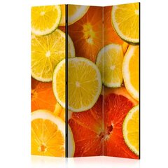 Ruumijaotur - Citrus fruits [Room Dividers] hind ja info | Sirmid ja vaheseinad | hansapost.ee
