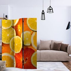 Ruumijaotur - Citrus fruits [Room Dividers] hind ja info | Sirmid ja vaheseinad | hansapost.ee