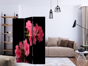 Ruumijaotur - Azalea in Black [Room Dividers] hind ja info | Sirmid ja vaheseinad | hansapost.ee