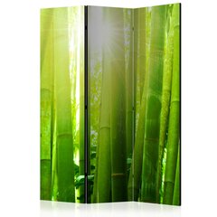Ширма - Sun and bamboo [Комнатная перегородка] цена и информация | Мобильные стенки | hansapost.ee