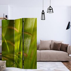 Ruumijaotur - bamboo - nature zen [Room Dividers] hind ja info | Sirmid ja vaheseinad | hansapost.ee
