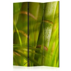 Ширма bamboo nature zen цена и информация | Мобильные стенки | hansapost.ee