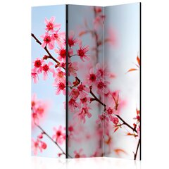 Ruumijaotur - Symbol of Japan - sakura flowers [Room Dividers] hind ja info | Sirmid ja vaheseinad | hansapost.ee