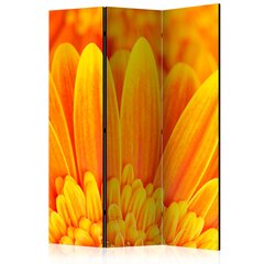 Ruumijaotur - Yellow gerbera daisies [Room Dividers] hind ja info | Sirmid ja vaheseinad | hansapost.ee