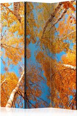 Ruumijaotur - Autumnal treetops [Room Dividers] hind ja info | Sirmid ja vaheseinad | hansapost.ee