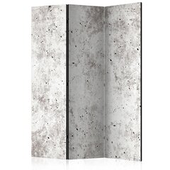 Ruumijaotur - Urban Style: Concrete [Room Dividers] hind ja info | Sirmid ja vaheseinad | hansapost.ee