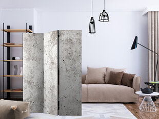 Ruumijaotur - Urban Style: Concrete [Room Dividers] hind ja info | Sirmid ja vaheseinad | hansapost.ee