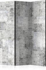 Ruumijaotur - Concrete: Grey City [Room Dividers] hind ja info | Sirmid ja vaheseinad | hansapost.ee