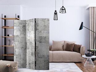Ruumijaotur - Concrete: Grey City [Room Dividers] hind ja info | Sirmid ja vaheseinad | hansapost.ee