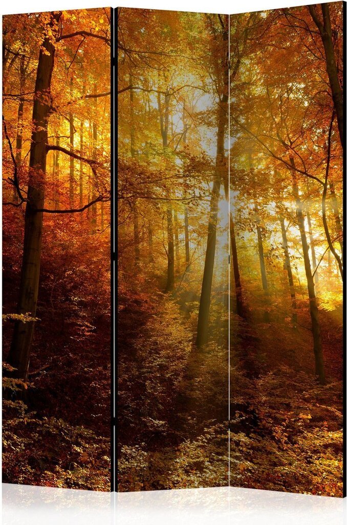 Ruumijaotur - Autumn Illumination [Room Dividers] hind ja info | Sirmid ja vaheseinad | hansapost.ee