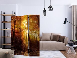 Ruumijaotur - Autumn Illumination [Room Dividers] hind ja info | Sirmid ja vaheseinad | hansapost.ee
