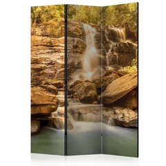 Ширма - Sunny Waterfall [Комнатные перегородки] цена и информация | Мобильные стенки | hansapost.ee