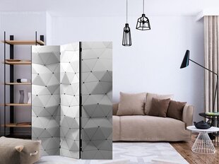 Ширма Amazing Symmetry цена и информация | Мобильные стенки | hansapost.ee