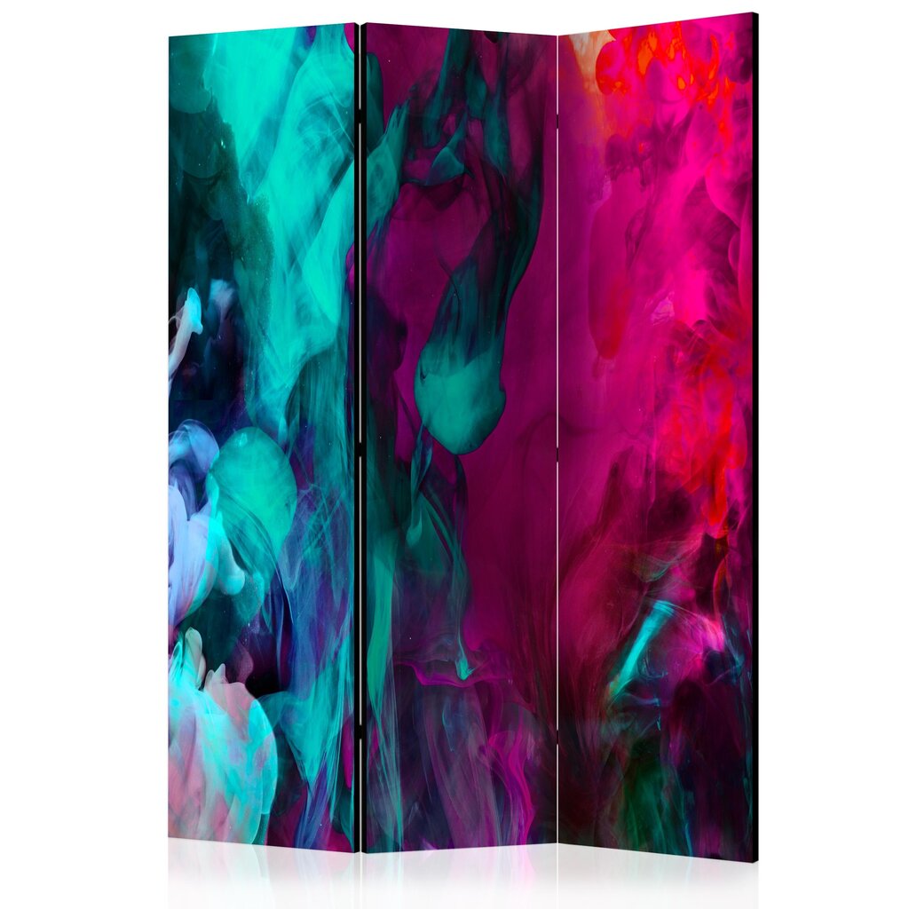 Ruumijaotur - Color madness [Room Dividers] hind ja info | Sirmid ja vaheseinad | hansapost.ee