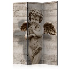 Ruumijaotur - Angelic Face [Room Dividers] hind ja info | Sirmid ja vaheseinad | hansapost.ee
