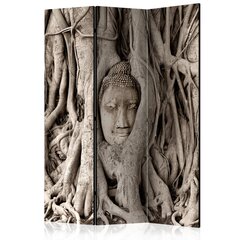 Ruumijaotur - Buddha's Tree [Room Dividers] hind ja info | Sirmid ja vaheseinad | hansapost.ee