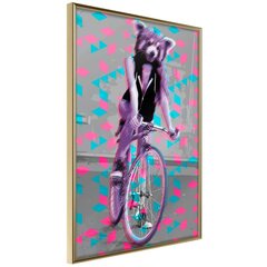 Poster - Extraordinary Cyclist hind ja info | Seinapildid | hansapost.ee