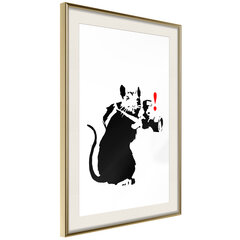 Poster - Banksy: Rat Photographer hind ja info | Seinapildid | hansapost.ee