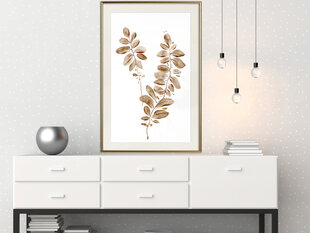 Poster - Botanical Watercolour hind ja info | Seinapildid | hansapost.ee