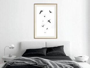 Poster - Birds hind ja info | Seinapildid | hansapost.ee