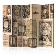 Ruumijaotur - Vintage Books II [Room Dividers] hind ja info | Sirmid ja vaheseinad | hansapost.ee