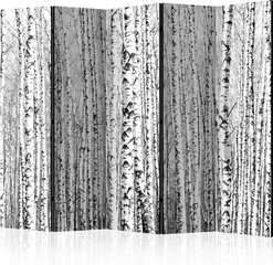 Ruumijaotur - Birch forest II [Room Dividers] hind ja info | Sirmid ja vaheseinad | hansapost.ee