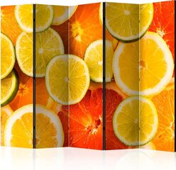Ruumijaotur - Citrus fruits II [Room Dividers] hind ja info | Sirmid ja vaheseinad | hansapost.ee