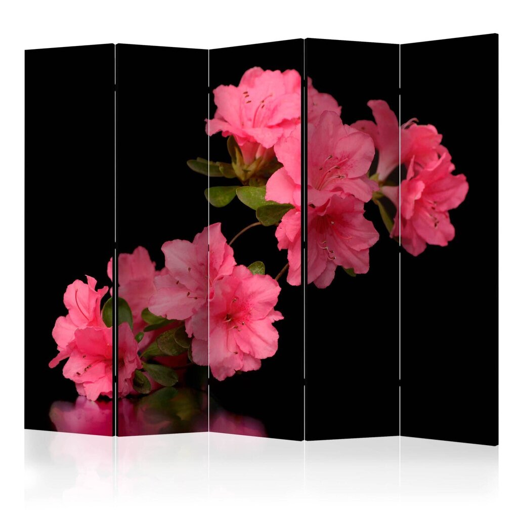 Ruumijaotur - Azalea in Black II [Room Dividers] hind ja info | Sirmid ja vaheseinad | hansapost.ee