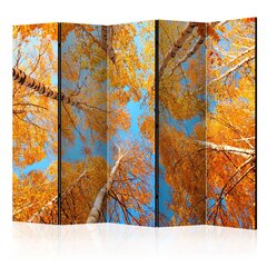 Ruumijaotur - Autumnal treetops II [Room Dividers] hind ja info | Sirmid ja vaheseinad | hansapost.ee