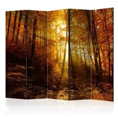 Ruumijaotur - Autumn Illumination II [Room Dividers] hind ja info | Sirmid ja vaheseinad | hansapost.ee