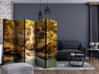 Ruumijaotur - Sunny Waterfall II [Room Dividers] hind ja info | Sirmid ja vaheseinad | hansapost.ee