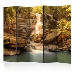 Ruumijaotur - Sunny Waterfall II [Room Dividers] hind ja info | Sirmid ja vaheseinad | hansapost.ee