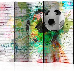 Ширма Colourful Sport цена и информация | Мобильные стенки | hansapost.ee