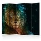 Ruumijaotur - Abstract lion... II [Room Dividers] цена и информация | Sirmid ja vaheseinad | hansapost.ee